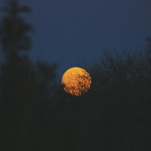 2023偷拍老阿婆合集
