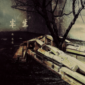 2023偷拍老阿婆合集
