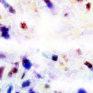 2023偷拍老阿婆合集
